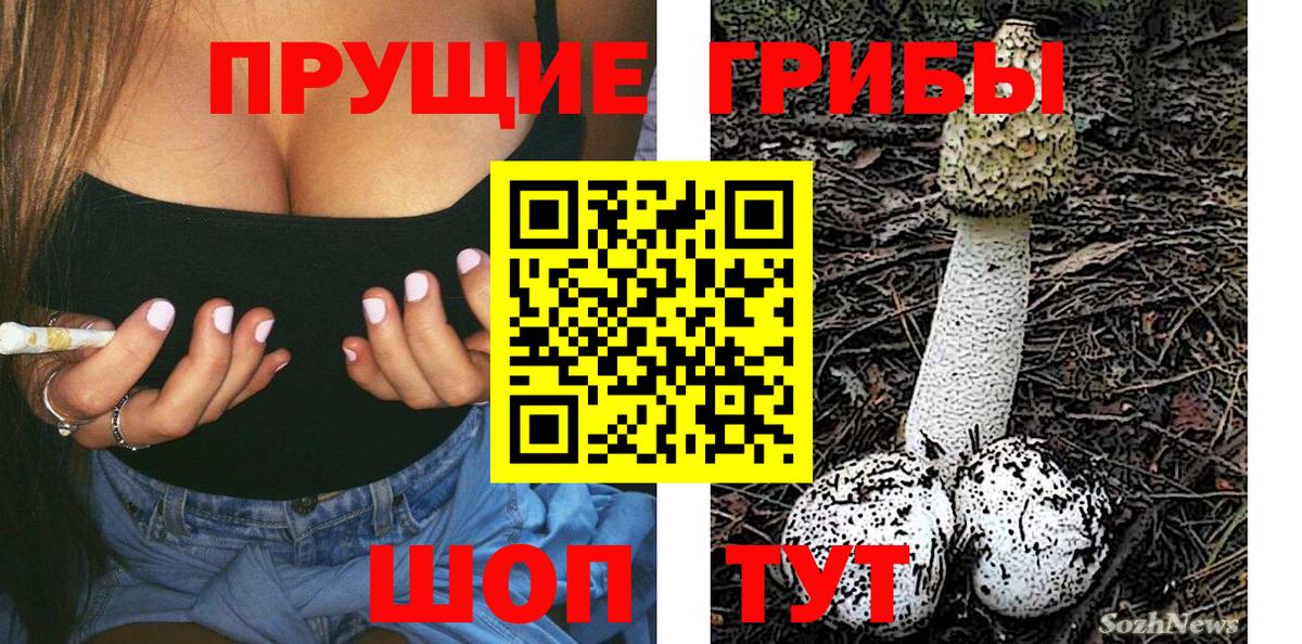 Псилоцибиновые грибы Cubensis Семёнов